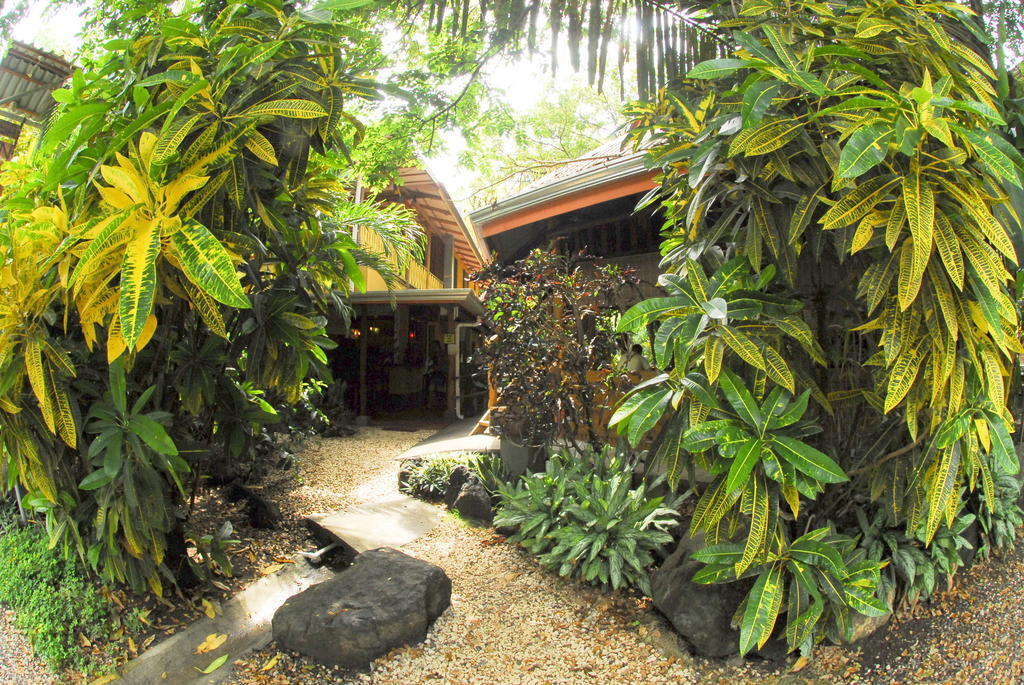 Casa Zen Guesthouse & Yoga Center Playa Santa Teresa  Room photo
