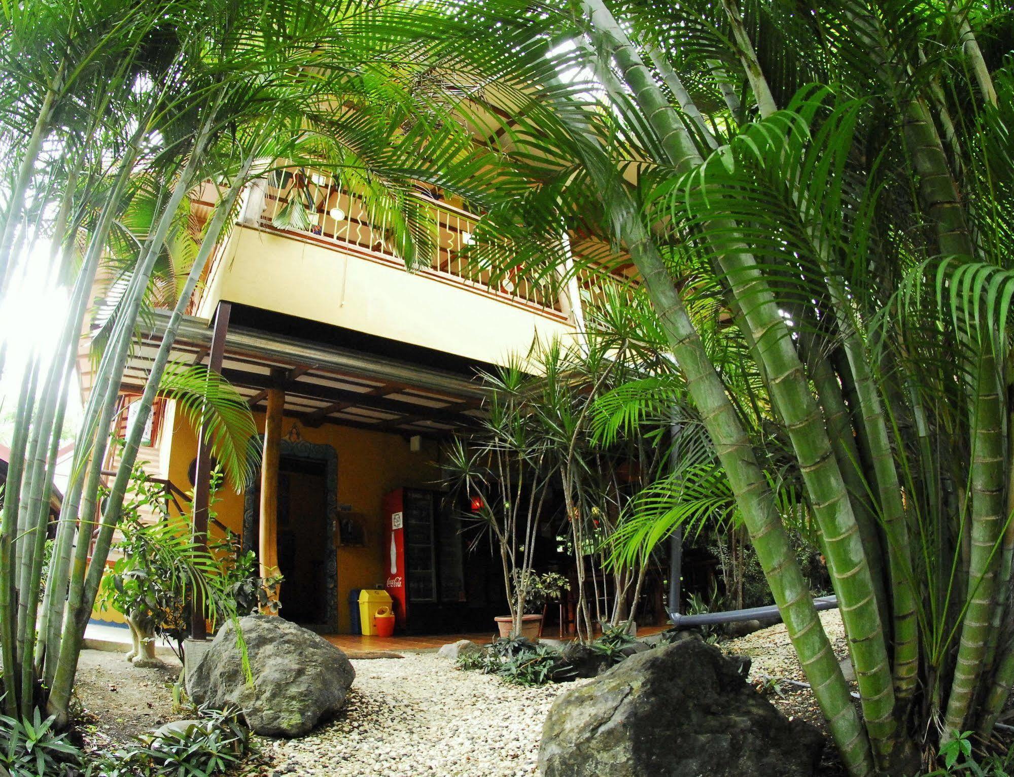 Casa Zen Guesthouse & Yoga Center Playa Santa Teresa  Exterior photo