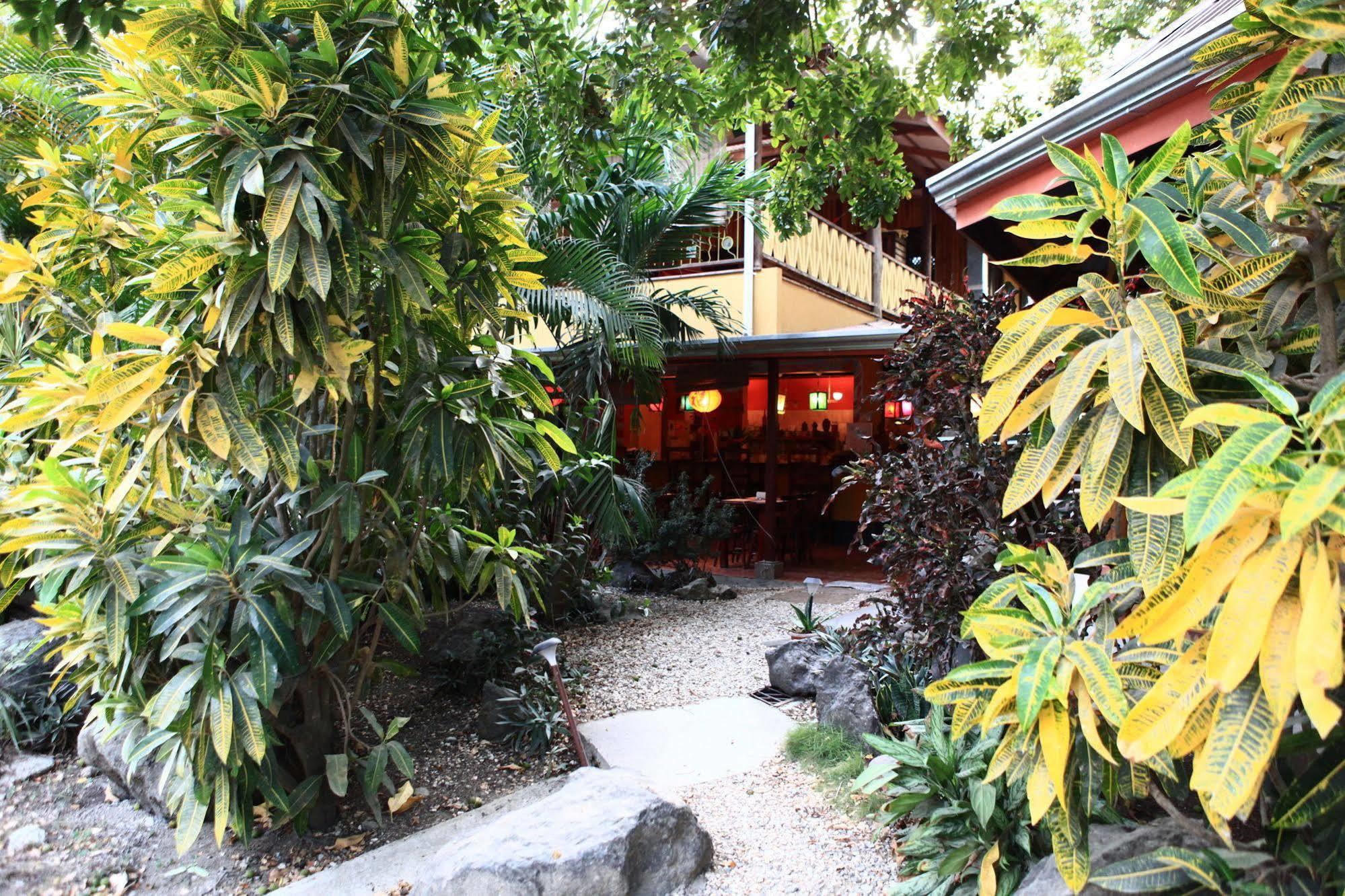 Casa Zen Guesthouse & Yoga Center Playa Santa Teresa  Exterior photo